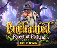 Enchanted: Forest Of Fortune - Hold & Win